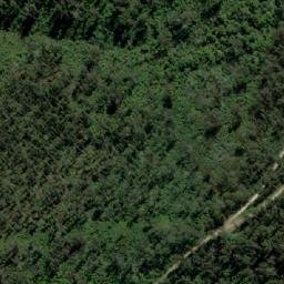 Satellite imagery of Jungle Hill, AU