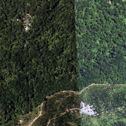 Satellite imagery of 6251, NZ
