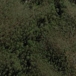 Satellite imagery of Shamrock, AU