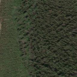 Satellite imagery of Mount Buck, AU
