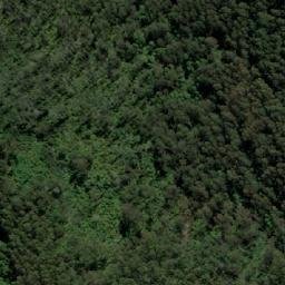 Satellite imagery of Jungle Hill, AU