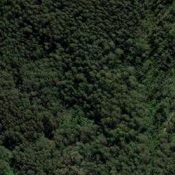 Satellite imagery of Jungle Hill, AU