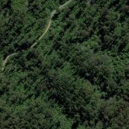Satellite imagery of Jungle Hill, AU