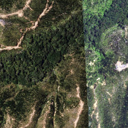 Satellite imagery of 6251, NZ