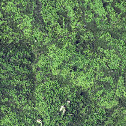 Satellite imagery of 6261, NZ