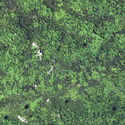 Satellite imagery of 6261, NZ