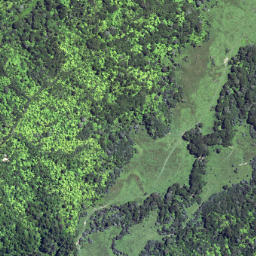 Satellite imagery of 6261, NZ