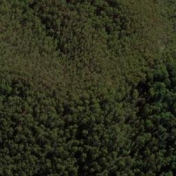 Satellite imagery of N Franklin Mine, AU