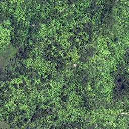 Satellite imagery of 6261, NZ