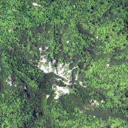 Satellite imagery of 6261, NZ