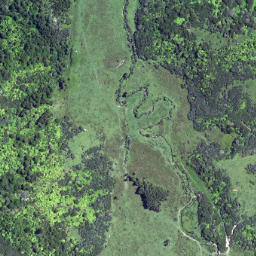 Satellite imagery of 6261, NZ