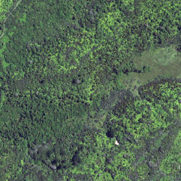 Satellite imagery of 6262, NZ