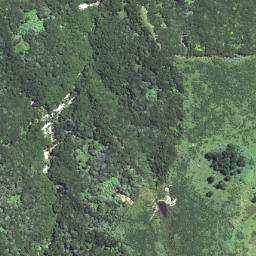 Satellite imagery of 6264, NZ