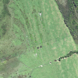 Satellite imagery of 6264, NZ