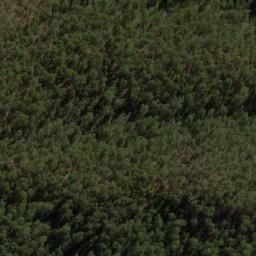 Satellite imagery of Shamrock, AU