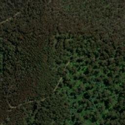 Satellite imagery of Mount Budgee Budgee, AU