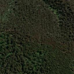 Satellite imagery of Mount Budgee Budgee, AU