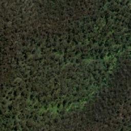 Satellite imagery of Mount Budgee Budgee, AU