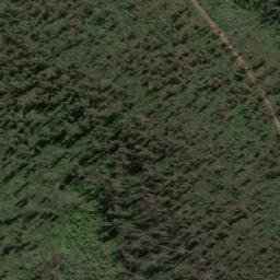 Satellite imagery of Mount Buck, AU