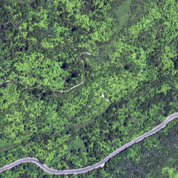 Satellite imagery of 6261, NZ