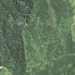 Satellite imagery of 6264, NZ
