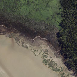 Satellite imagery of Paeroa Point, NZ