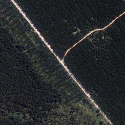 Satellite imagery of Paeroa Point, NZ