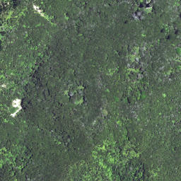 Satellite imagery of 6263, NZ