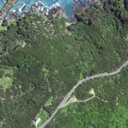 Satellite imagery of Haupara Point, NZ