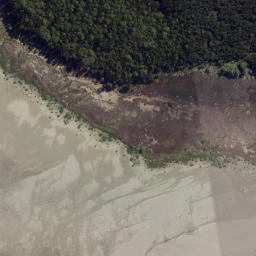 Satellite imagery of Paeroa Point, NZ