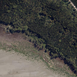 Satellite imagery of Paeroa Point, NZ