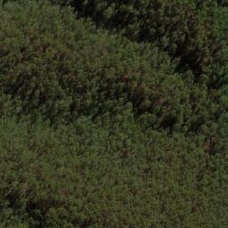 Satellite imagery of Bald Hill, AU
