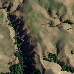 Satellite imagery of PUKEWAIMAI, NZ