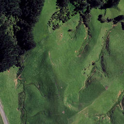 Satellite imagery of Waipuna, NZ