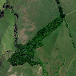 Satellite imagery of Waipuna, NZ