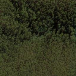Satellite imagery of Bald Hill, AU