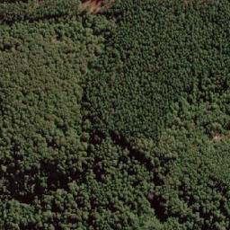 Satellite imagery of Cerro Pan de Azúcar, CL