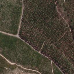 Satellite imagery of Forest Hill, AU