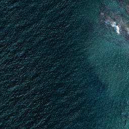 Satellite imagery of Taratuia Point, NZ