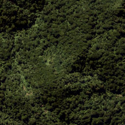 Satellite imagery of Eliza Mine, NZ