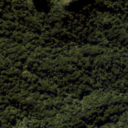 Satellite imagery of Eliza Mine, NZ
