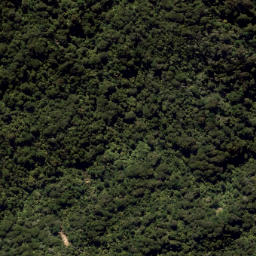 Satellite imagery of Eliza Mine, NZ