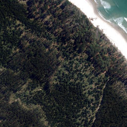 Satellite imagery of North West Rock, NZ