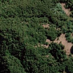 Satellite imagery of Cerro Pan de Azúcar, CL