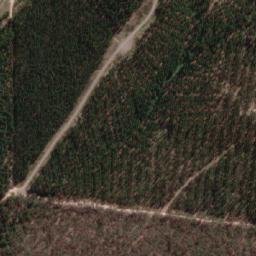 Satellite imagery of Forest Hill, AU