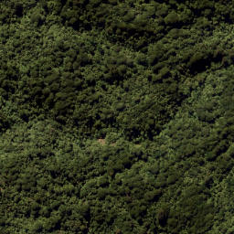 Satellite imagery of Eliza Mine, NZ