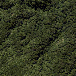 Satellite imagery of Eliza Mine, NZ