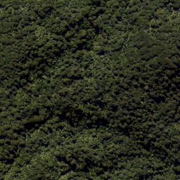 Satellite imagery of Eliza Mine, NZ