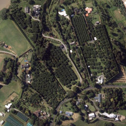 Satellite imagery of Ngakautuakina Point, NZ
