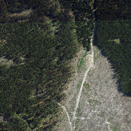 Satellite imagery of North West Rock, NZ